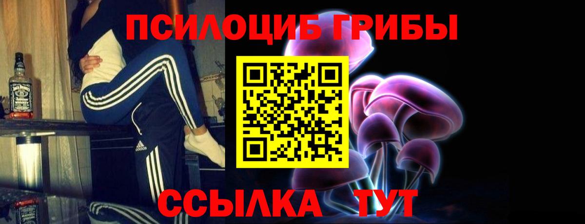 Малгобек  Галлюциногенные грибы мицелий  Вход с VPN 