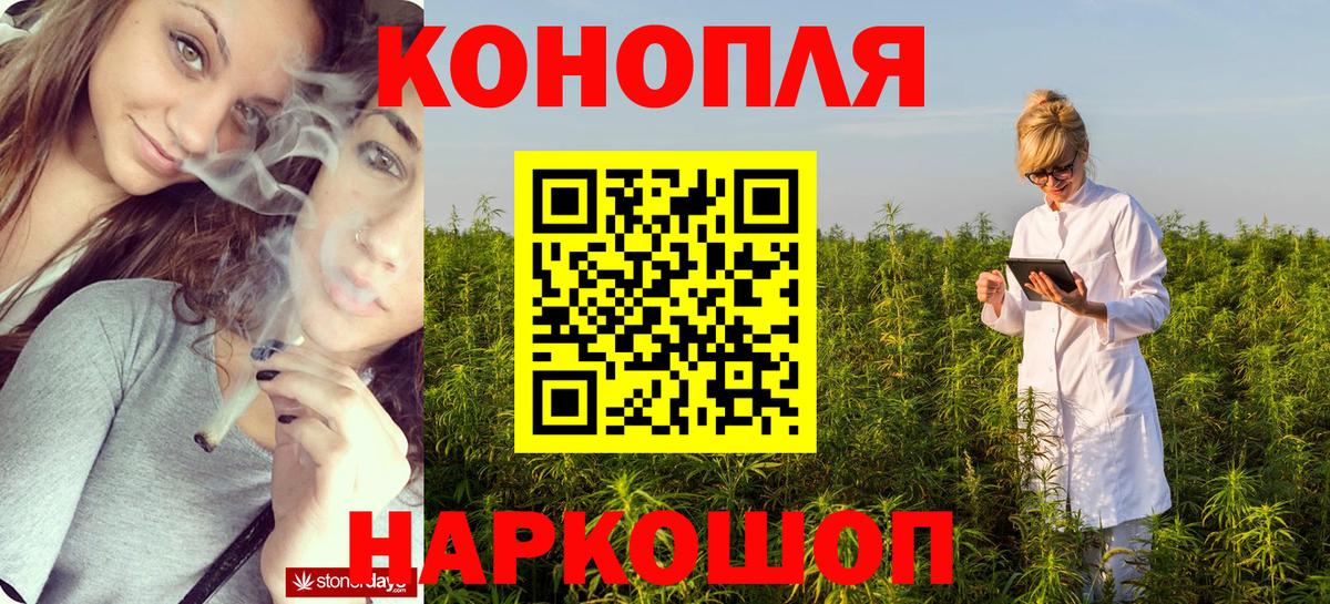 Бошки марихуана гибрид Малгобек
